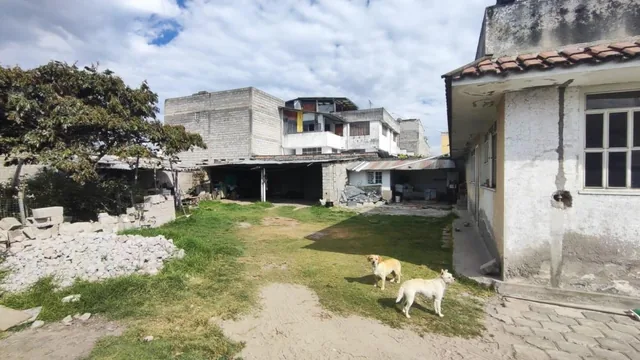 En Venta Terreno con Casa Para Proyecto San Isidro — imagen 4