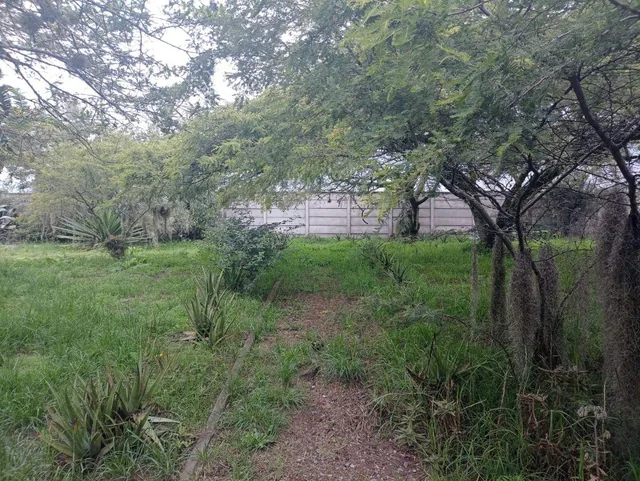 Vendo Terreno Plano 1.800 m² $88.200 en San Antonio de Pichincha - Mitad del Mundo Sector Rumicucho — imagen 4