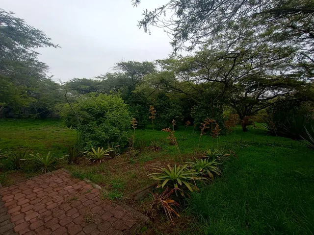Vendo Terreno Plano 1.800 m² $88.200 en San Antonio de Pichincha - Mitad del Mundo Sector Rumicucho — imagen 3