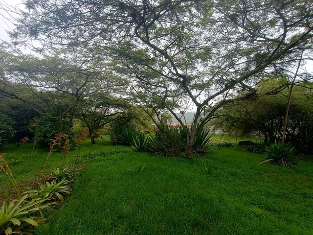 Vendo Terreno Plano 1.800 m² $88.200 en San Antonio de Pichincha - Mitad del Mundo Sector Rumicucho — imagen 2