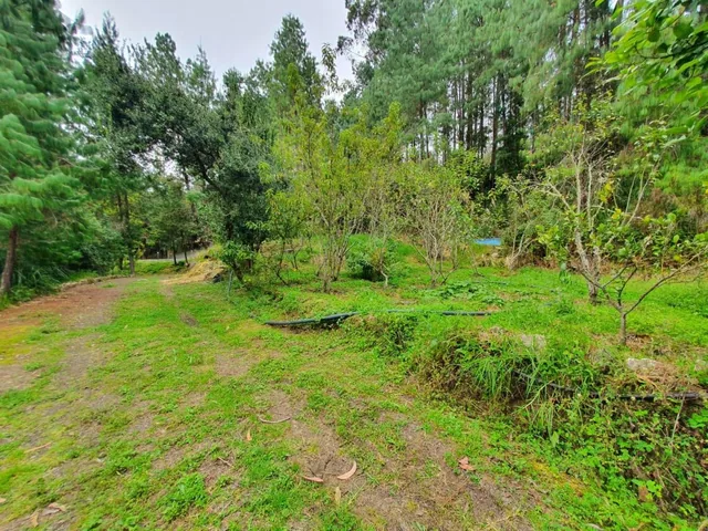 10 Hectáreas de Terreno en Venta en Sector Guagualzhumi, Azuay — imagen 5