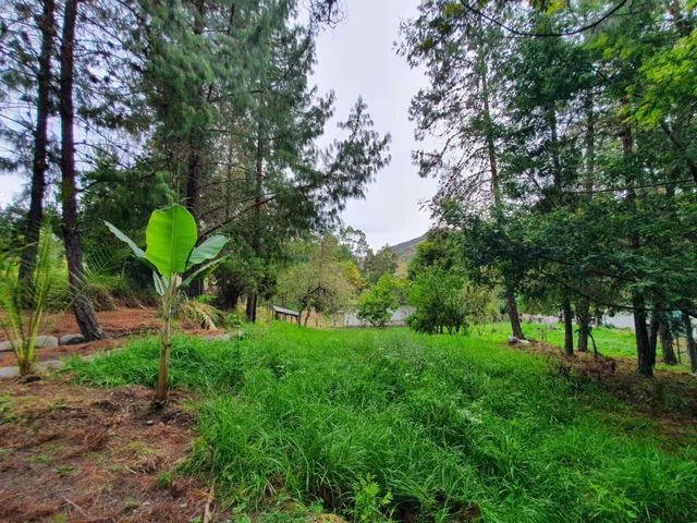 10 Hectáreas de Terreno en Venta en Sector Guagualzhumi, Azuay — imagen 4