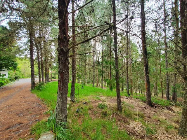 10 Hectáreas de Terreno en Venta en Sector Guagualzhumi, Azuay — imagen 3