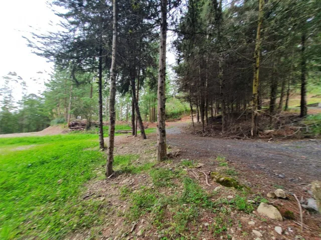 10 Hectáreas de Terreno en Venta en Sector Guagualzhumi, Azuay — imagen 2