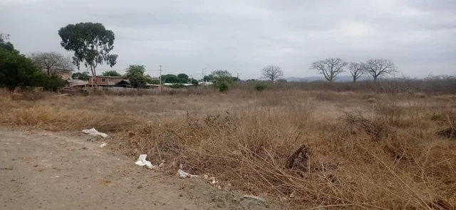 Terreno en Venta / Jaramijo - Manabi, Manabí — imagen 5