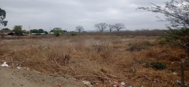 Terreno en Venta / Jaramijo - Manabi, Manabí — imagen 4