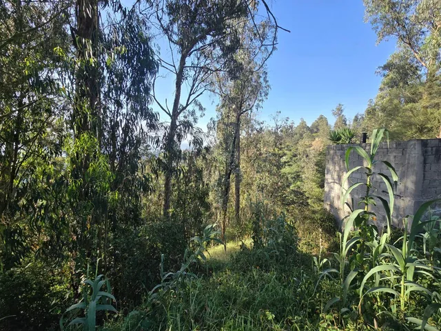 Venta Terreno Nayón en San Francisco de Tanda Calle Leonardo Deubler S/n — imagen 2