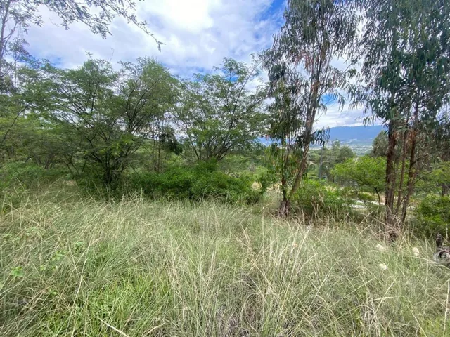 Venta Terrenos Tumbaco Sector Collaqui — imagen 2