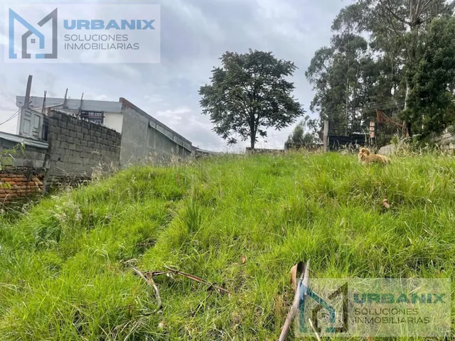 Terreno en Norte de Quito — imagen 2