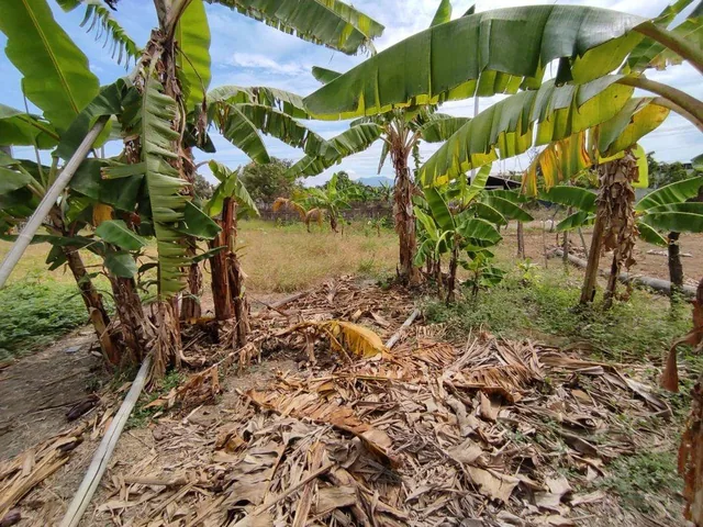 Terreno Esquinero de Venta Los Jazmines Portoviejo, Manabí — imagen 5