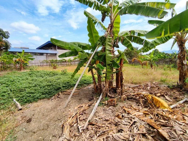 Terreno Esquinero de Venta Los Jazmines Portoviejo, Manabí — imagen 4