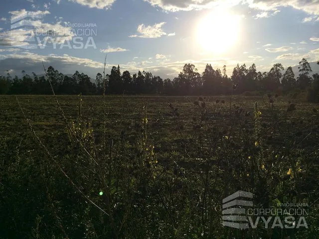Tababela - Cerca Al Aeropuerto Mariscal Sucre, Terreno de 2 Has en Venta — imagen 5