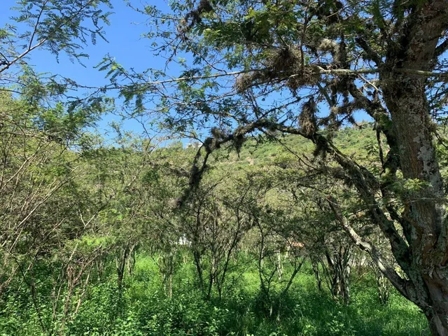 Terreno de 1.521 m, en Venta Cumbayá, La Viña — imagen 3