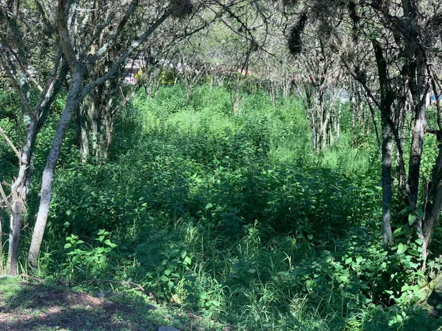 Terreno de 1.521 m, en Venta Cumbayá, La Viña — imagen 2