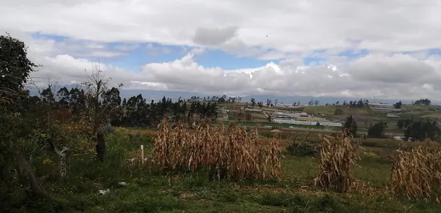 Terreno en Venta en Unamuncho Ambato. 4 Hectáreas. Tungurahua — imagen 5