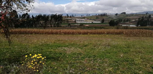 Terreno en Venta en Unamuncho Ambato. 4 Hectáreas. Tungurahua — imagen 2