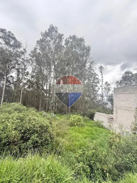 Terreno en Venta Buenos Aires San Isidro del Inca — imagen 5