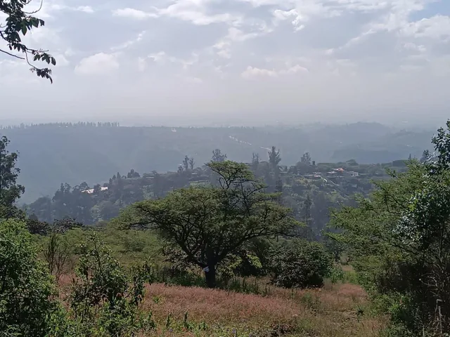 1000 m² de Terreno con Cerramiento y Frente a La Calle en Nayon — imagen 2