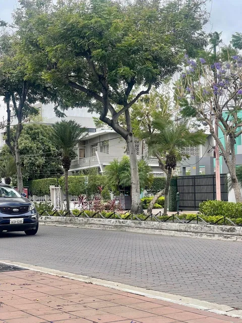 6133. Urdesa Central - Alquilo Casa Comercial, Frente Al Supermaxi 1000 m², $5000, Guayas — imagen 4