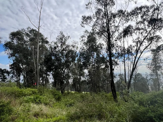 Terreno en Venta Para Proyecto: Inmobiliario / Inversión / Comercial — imagen 4