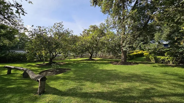 Venta Terreno con Árboles Frutales en Guayllabamba un Solo Dueño, Ideal Como Inversión — imagen 4