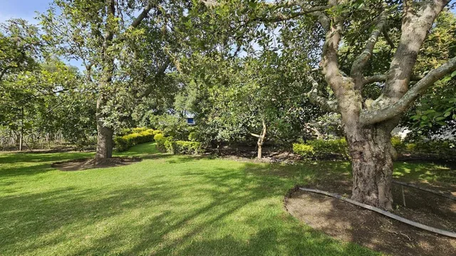 Venta Terreno con Árboles Frutales en Guayllabamba un Solo Dueño, Ideal Como Inversión — imagen 3