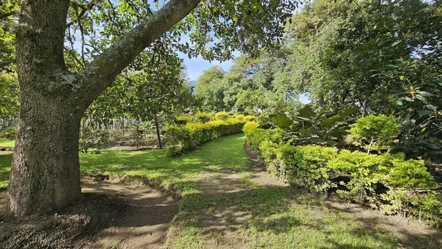 Venta Terreno con Árboles Frutales en Guayllabamba un Solo Dueño, Ideal Como Inversión — imagen 2