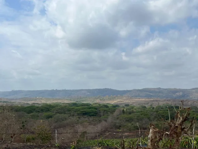 Vendo Terrenos Agricolas en Sector Chongon Guayaquil, Guayas — imagen 5