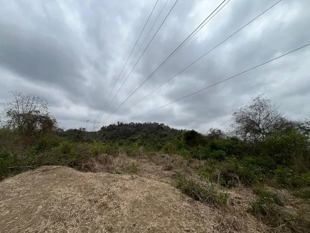 Vendo Terrenos Agricolas en Sector Chongon Guayaquil, Guayas — imagen 4