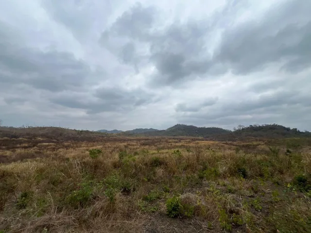Vendo Terrenos Agricolas en Sector Chongon Guayaquil, Guayas — imagen 3