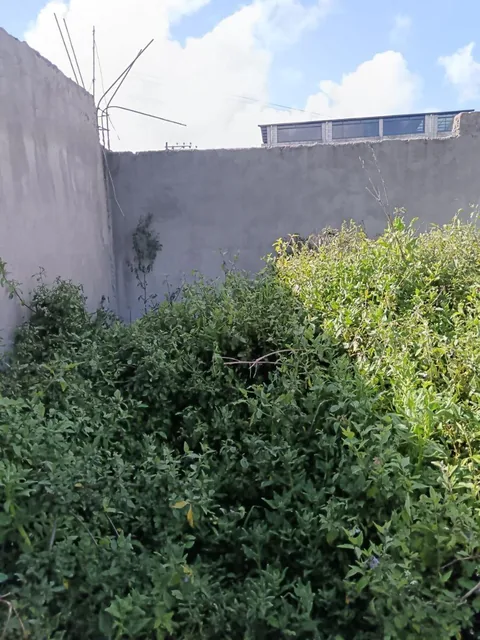 Se Vende Terreno de 180 m² en Caupicho Sur de Quito — imagen 5