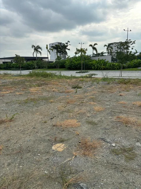 Terreno en Nueva Urbanización en Isla Mocolí, Guayas — imagen 3