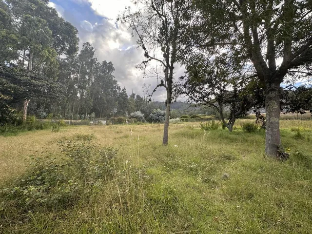 Venta Terreno Cumbaya Sector Yanazarapata — imagen 5