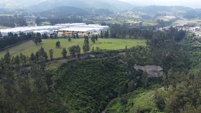 12 Hectáreas con Alto Potencial Industrial y Logístico a Minutos de Tababela y La E35 — imagen 5