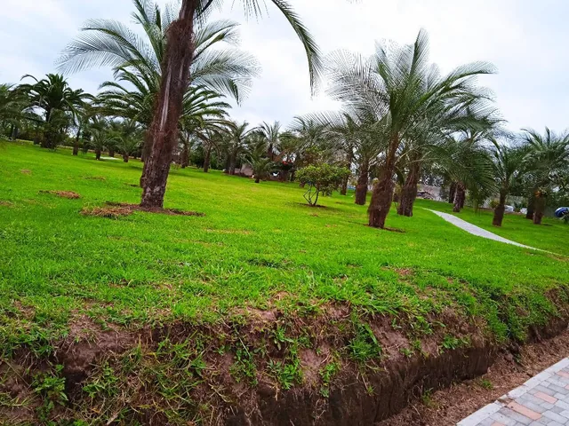 Lindo Terreno en Urbanización Exclusiva — imagen 4