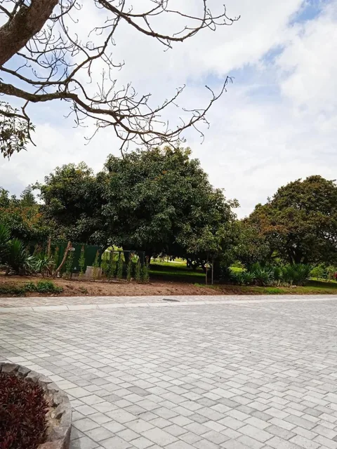 Lindo Terreno en Urbanización Exclusiva — imagen 3
