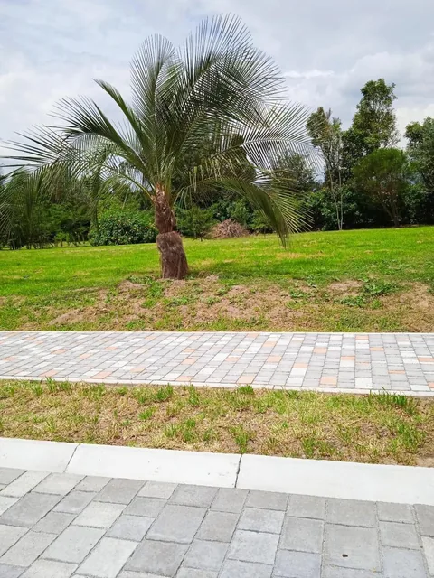 Lindo Terreno en Urbanización Exclusiva — imagen 2
