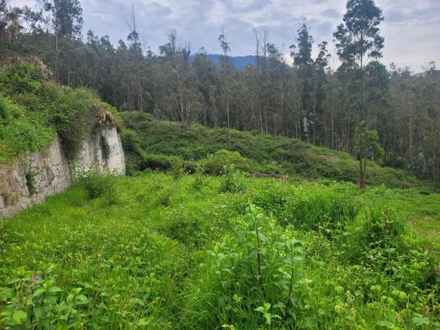 Terreno de Venta en Cumbaya — imagen 5