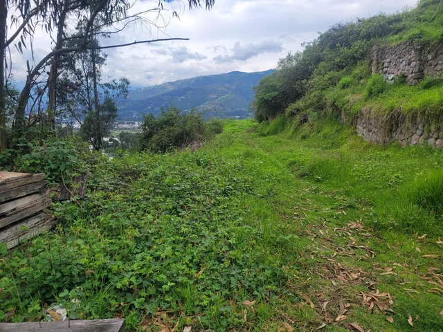 Terreno de Venta en Cumbaya — imagen 2