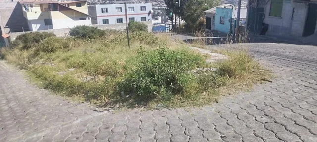 Terreno en Venta - Sector Calderon (406 M²) — imagen 5