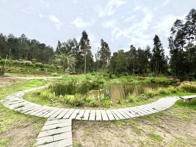 Terreno de Venta La Cerámica 2.257 m $496.000 — imagen 5