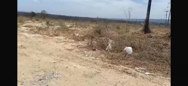 Terreno - Vía a La Costa, Guayas — imagen 5