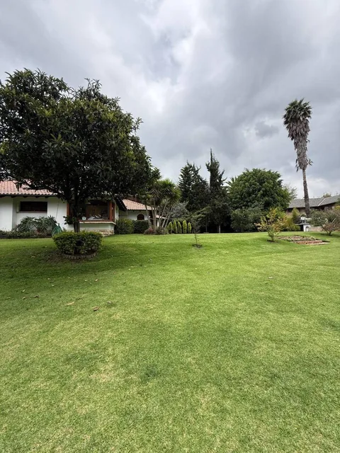 Terreno - en Venta - Tumbaco - 907 m² — imagen 4