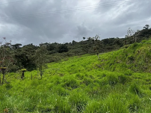 Terreno en Venta – Potencial Productivo y Turístico en Napo, Napo — imagen 5