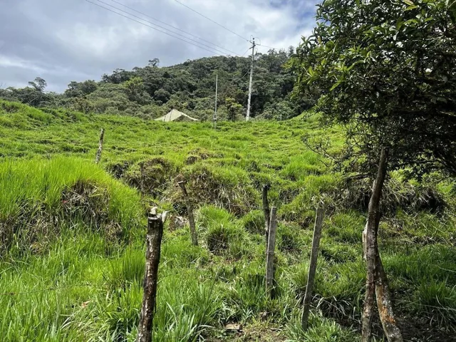 Terreno en Venta – Potencial Productivo y Turístico en Napo, Napo — imagen 2