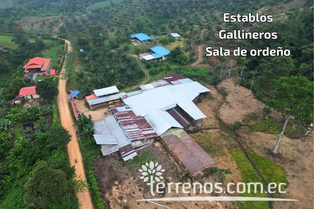 Terreno en Venta de 10 Has en Puerto Quito — imagen 5