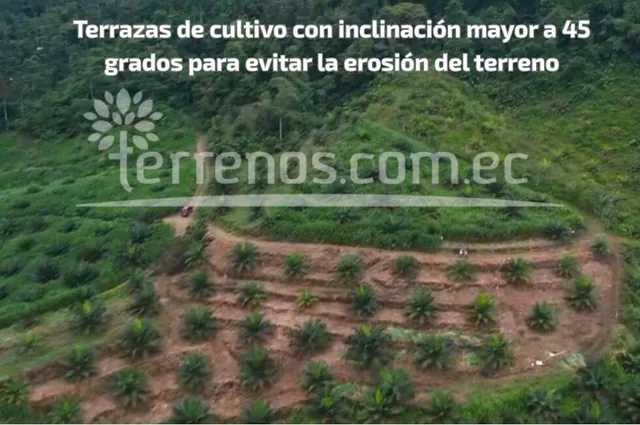 Terreno en Venta de 10 Has en Puerto Quito — imagen 4