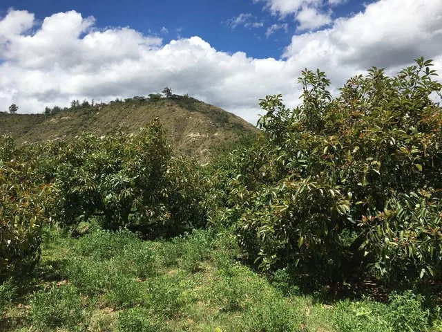Venta Terreno Guayllabamba, Vista Privilegiada con Escrituras Individuales — imagen 2