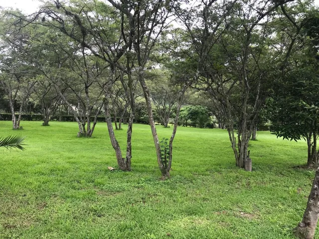 Vendo Hermoso Terreno en Algarrobos de Pillagua — imagen 4