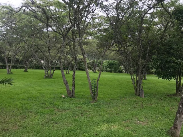 Vendo Hermoso Terreno en Algarrobos de Pillagua — imagen 3